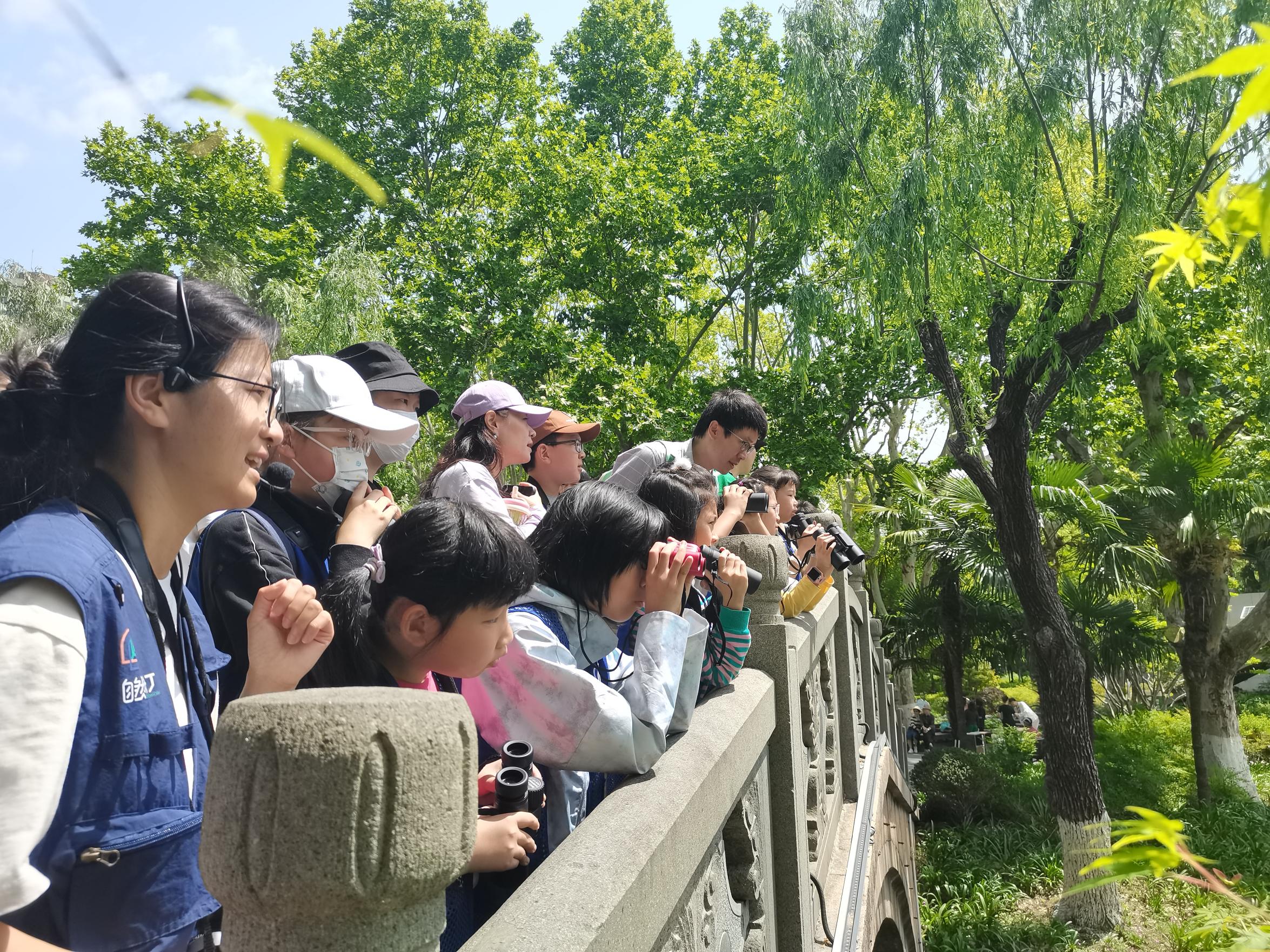 防鸟撞贴纸图案设计